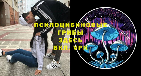 бошки Абдулино