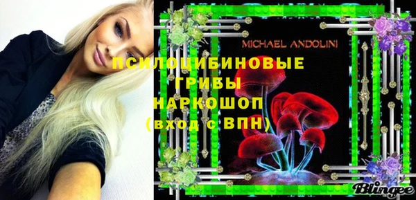 стафф Абинск