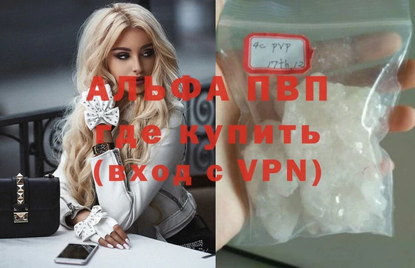 спиды Абаза