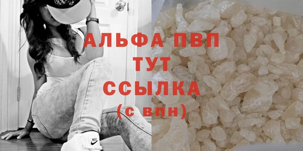 спиды Абаза