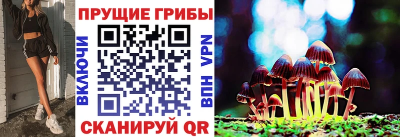 где купить наркоту Черногорск Псилоцибиновые грибы прущие грибы